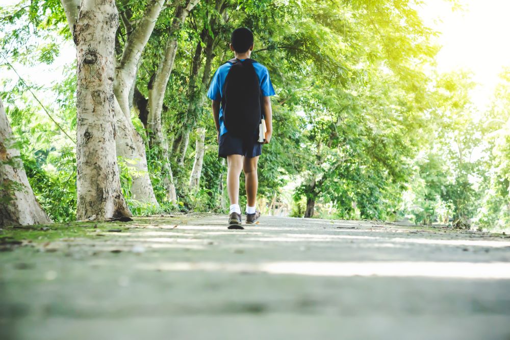 A school student is walking along a path holding books